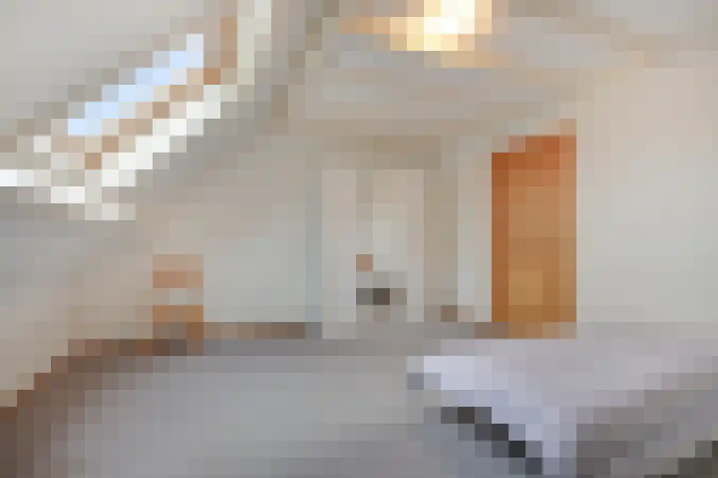 Zilverbergweg 2 Overasselt thumbnail 32