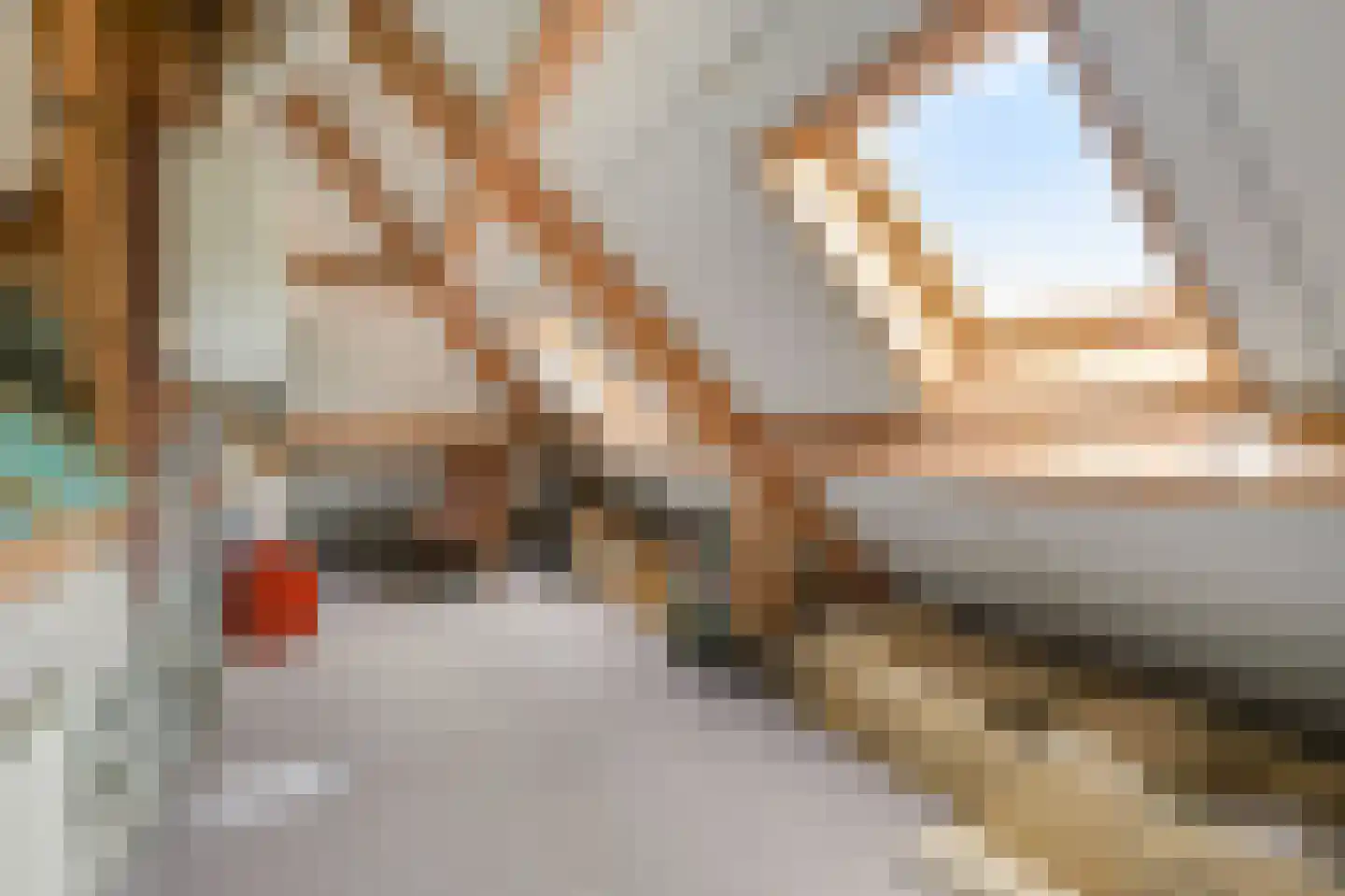 Zilverbergweg 2 Overasselt thumbnail 41