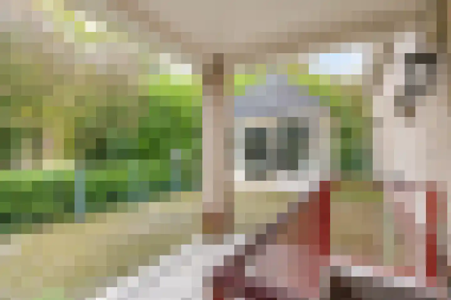 Zilverbergweg 2 Overasselt thumbnail 49