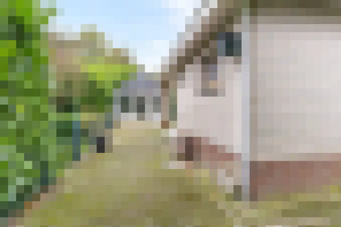 Zilverbergweg 2 Overasselt thumbnail 58