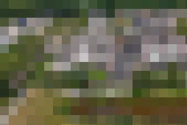 Zilverberk 4 Coevorden thumbnail 11