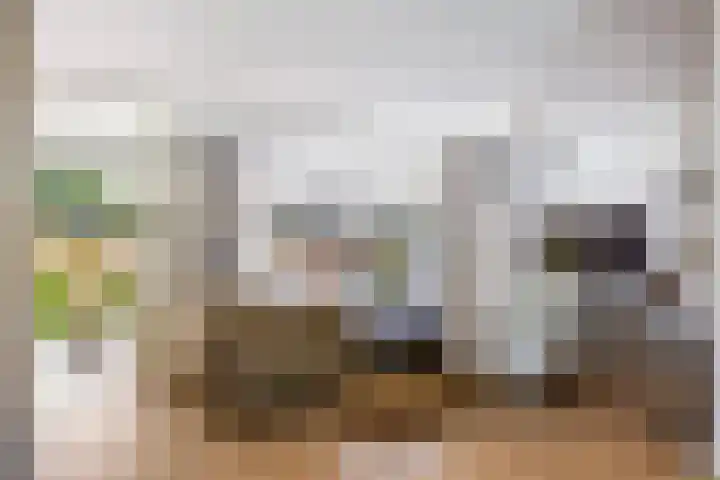 Zilverberk 4 Coevorden thumbnail 14