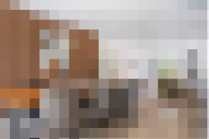 Zilverberk 4 Coevorden thumbnail 18