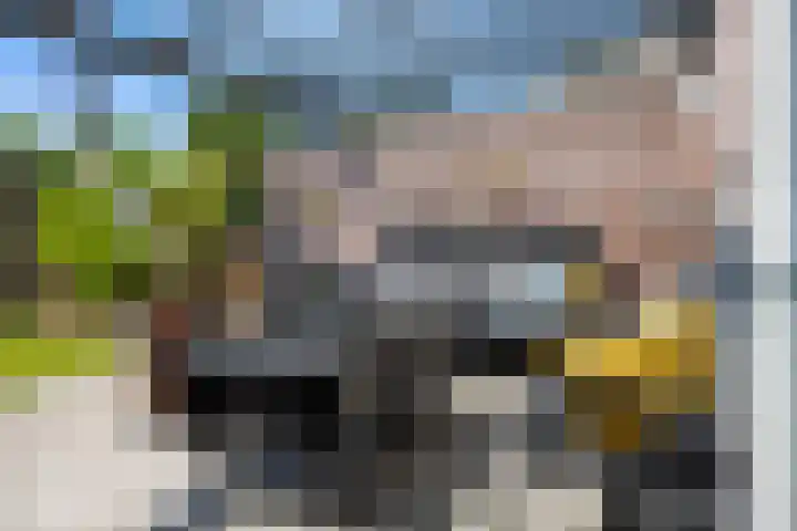 Zilverberk 4 Coevorden thumbnail 25