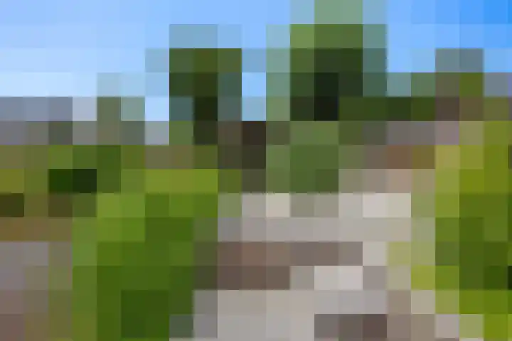 Zilverberk 4 Coevorden thumbnail 4