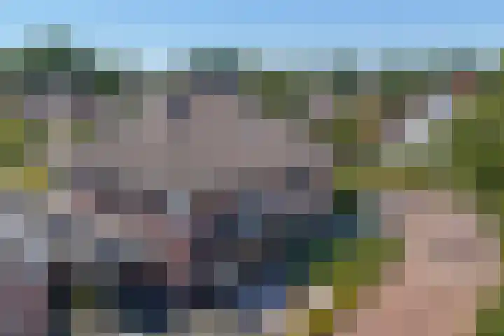 Zilverberk 4 Coevorden thumbnail 42