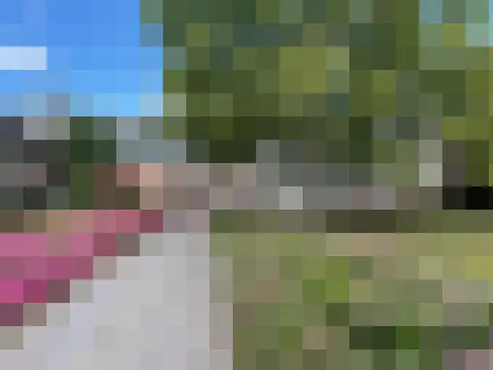 Zilverberk 4 Coevorden thumbnail 47