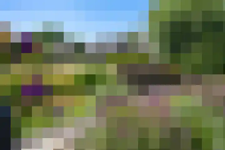 Zilverberk 4 Coevorden thumbnail 5