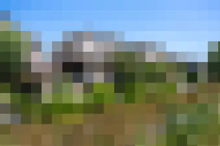 Zilverberk 4 Coevorden thumbnail 6