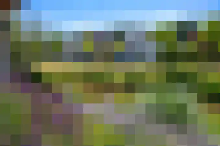 Zilverberk 4 Coevorden thumbnail 7