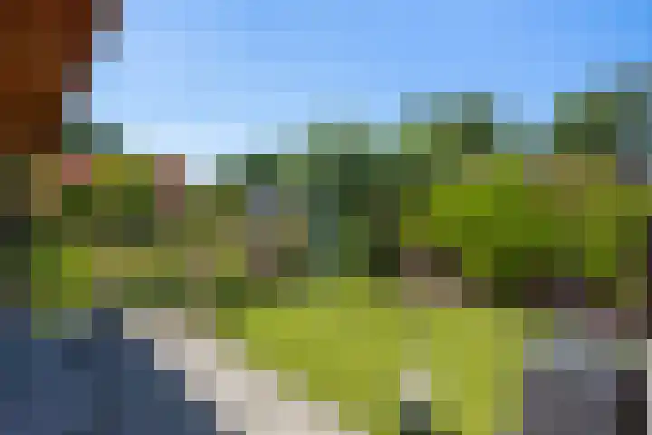 Zilverberk 4 Coevorden thumbnail 8