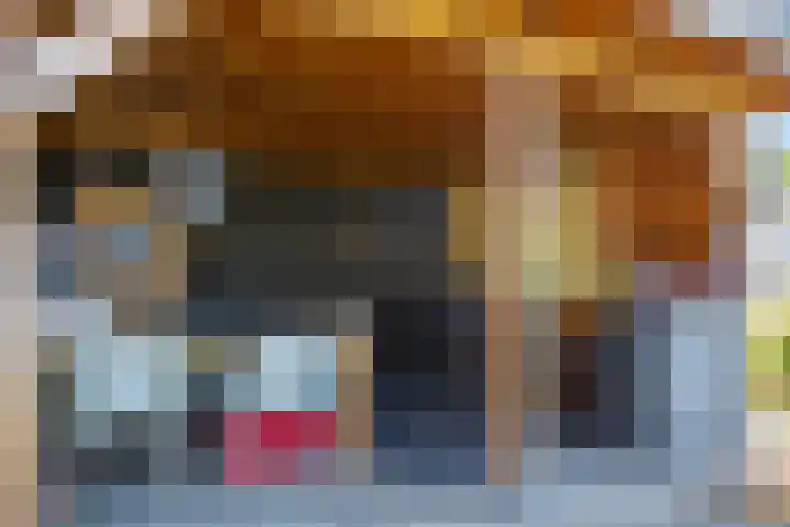 Zilverberk 4 Coevorden thumbnail 9