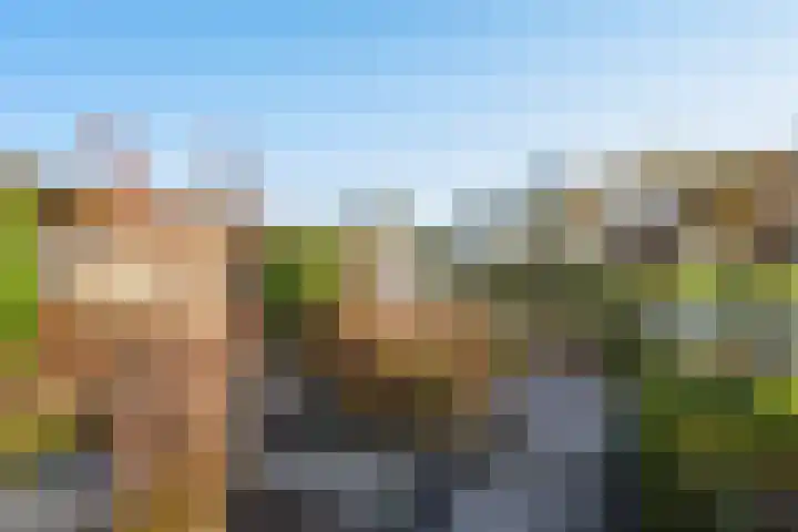 Zilverberkzoom 35 Zoetermeer thumbnail 10