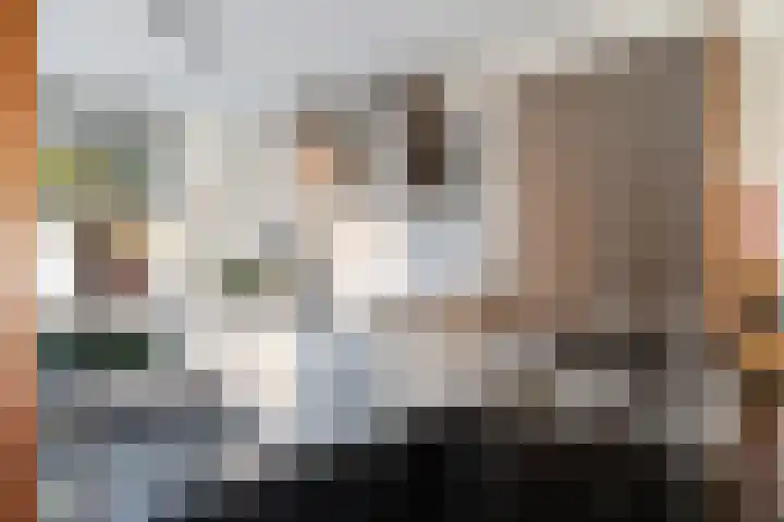 Zilverberkzoom 35 Zoetermeer thumbnail 15