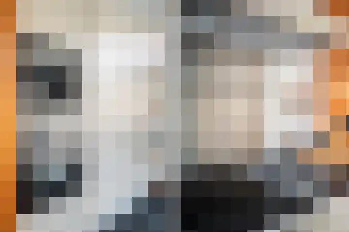 Zilverberkzoom 35 Zoetermeer thumbnail 17