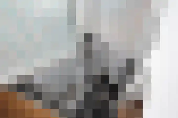 Zilverberkzoom 35 Zoetermeer thumbnail 33