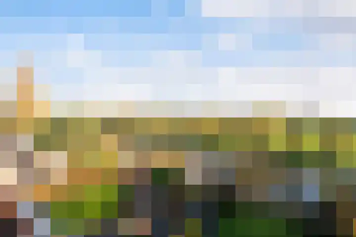 Zilverberkzoom 35 Zoetermeer thumbnail 34