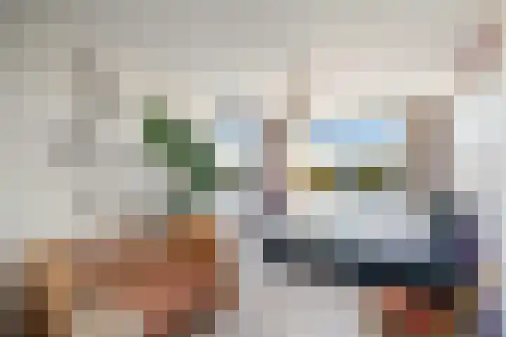 Zilverberkzoom 35 Zoetermeer thumbnail 39