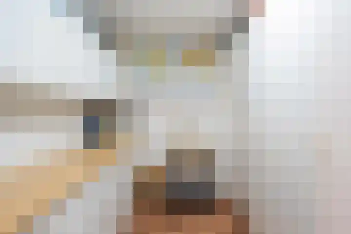 Zilverberkzoom 35 Zoetermeer thumbnail 43