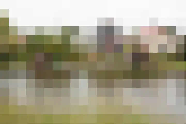 Zilverberkzoom 35 Zoetermeer thumbnail 46