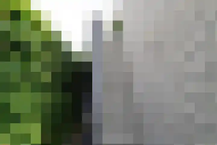 Zilverberkzoom 35 Zoetermeer thumbnail 47