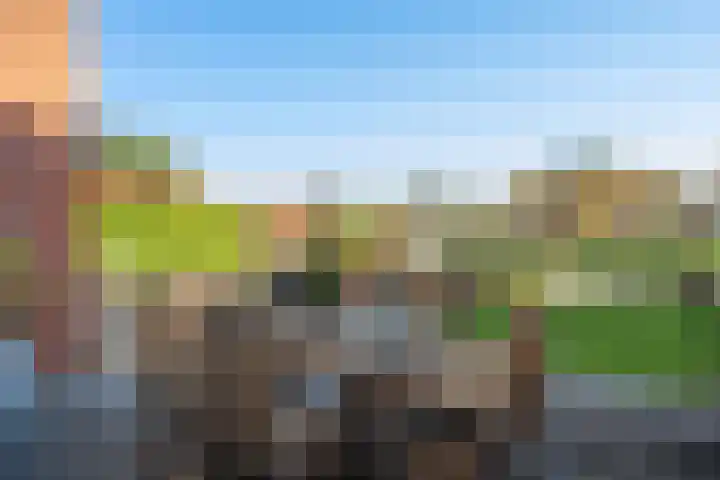 Zilverberkzoom 35 Zoetermeer thumbnail 48