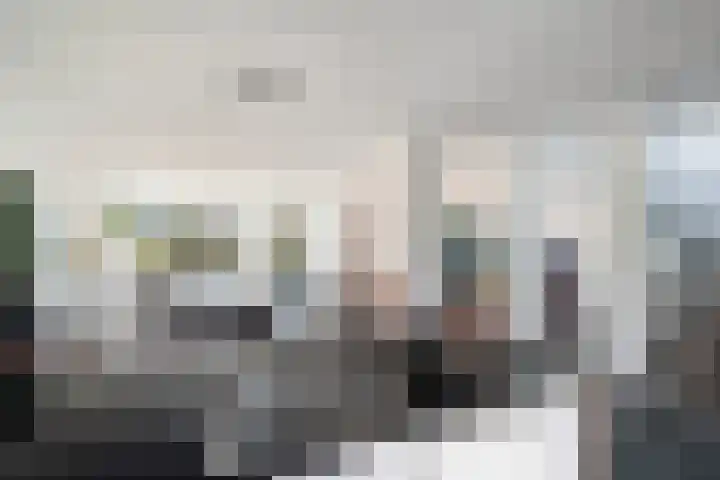 Zilverberkzoom 35 Zoetermeer thumbnail 5