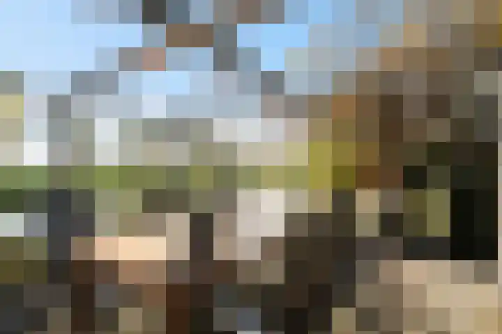 Zilverberkzoom 35 Zoetermeer thumbnail 51