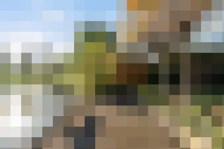 Zilverberkzoom 35 Zoetermeer thumbnail 52