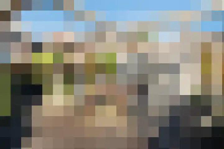 Zilverberkzoom 35 Zoetermeer thumbnail 54