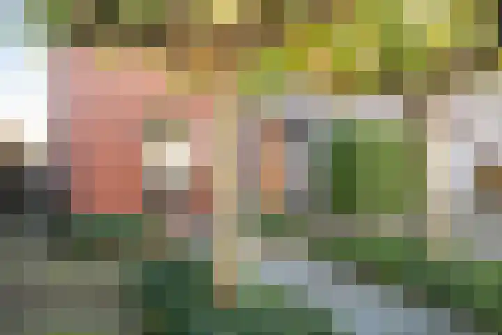 Zilverberkzoom 35 Zoetermeer thumbnail 55