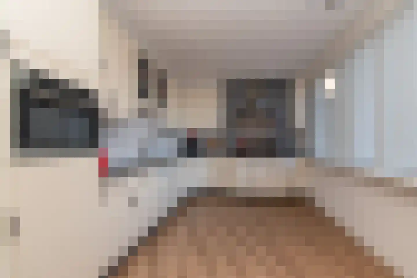 Zilverberkzoom 43 Zoetermeer thumbnail 11