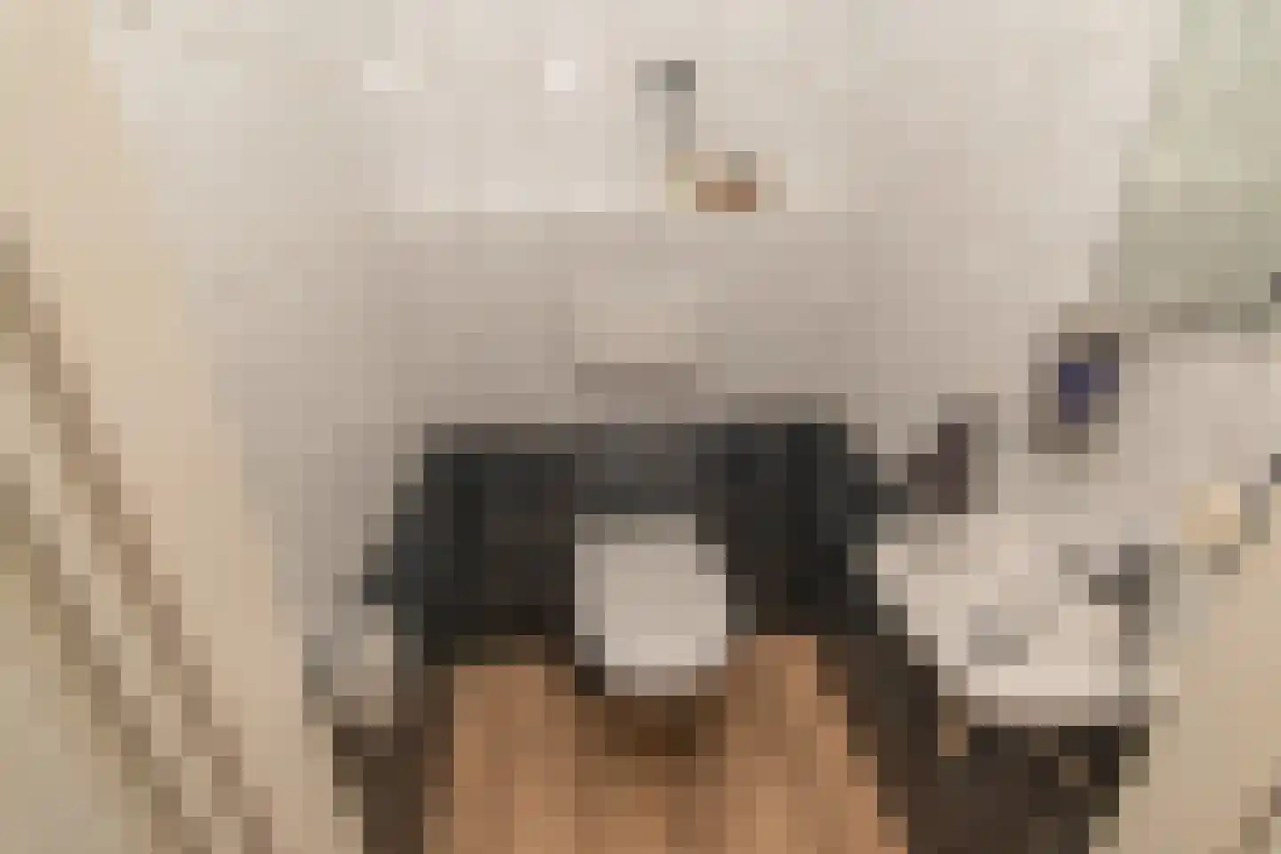 Zilverberkzoom 43 Zoetermeer thumbnail 14