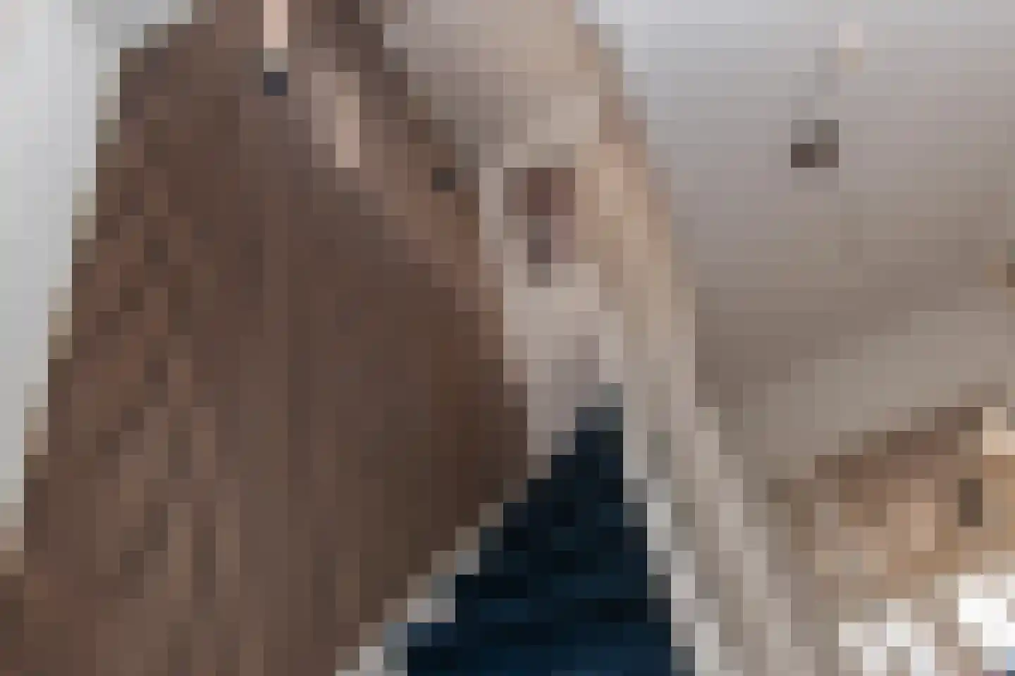 Zilverberkzoom 43 Zoetermeer thumbnail 16