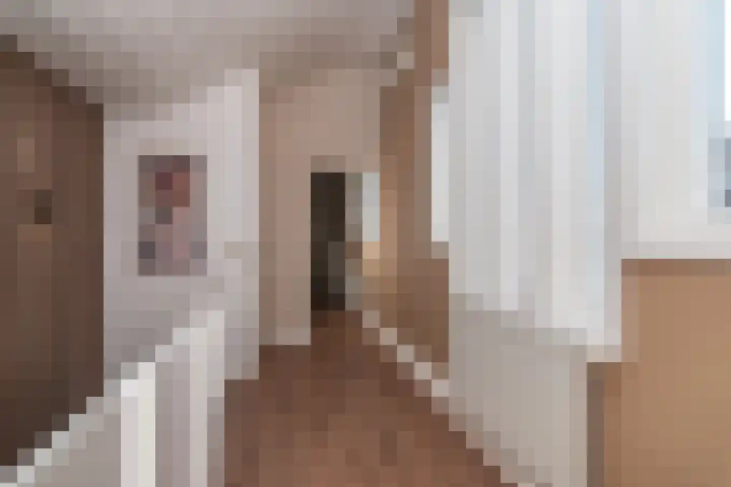 Zilverberkzoom 43 Zoetermeer thumbnail 17