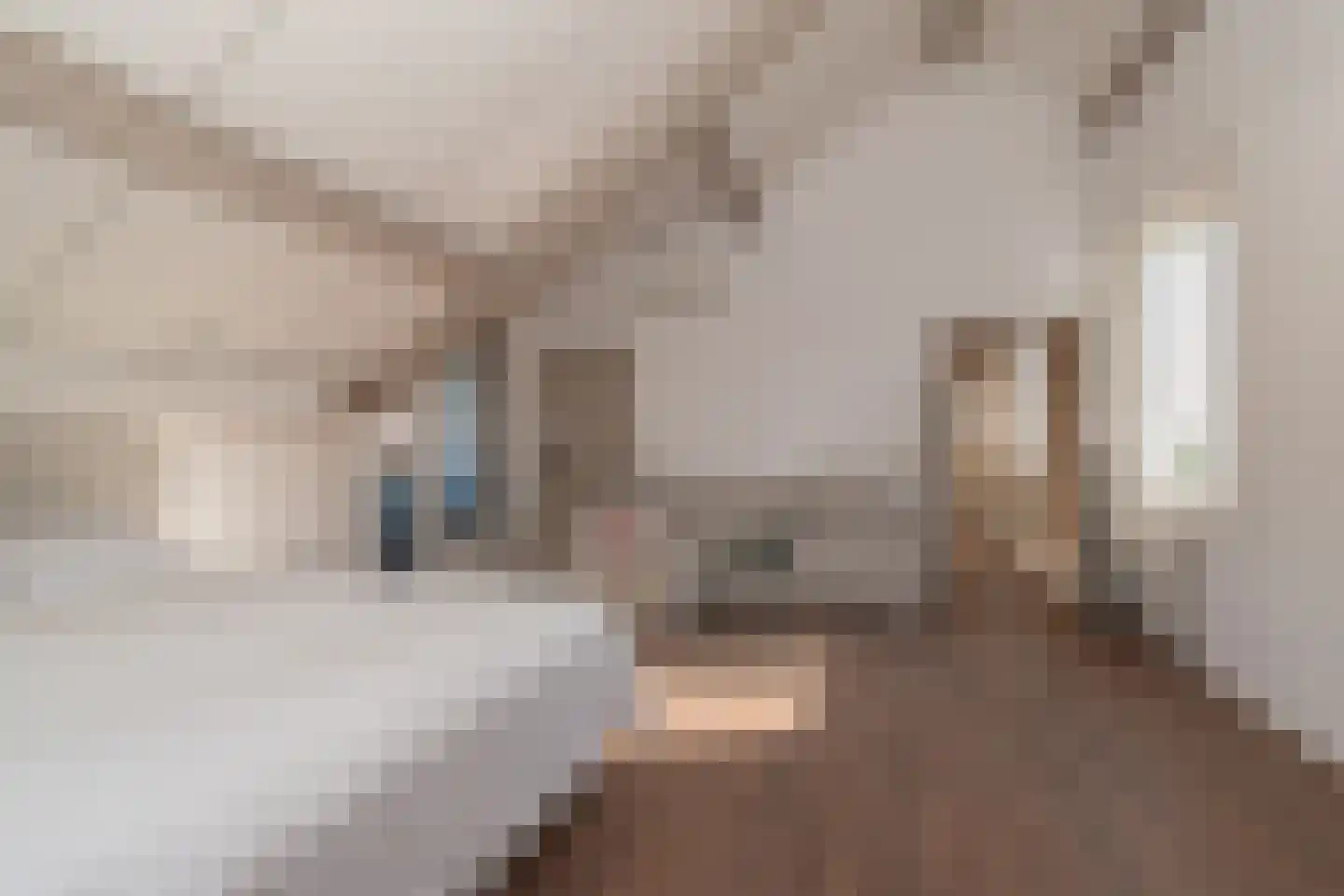 Zilverberkzoom 43 Zoetermeer thumbnail 19