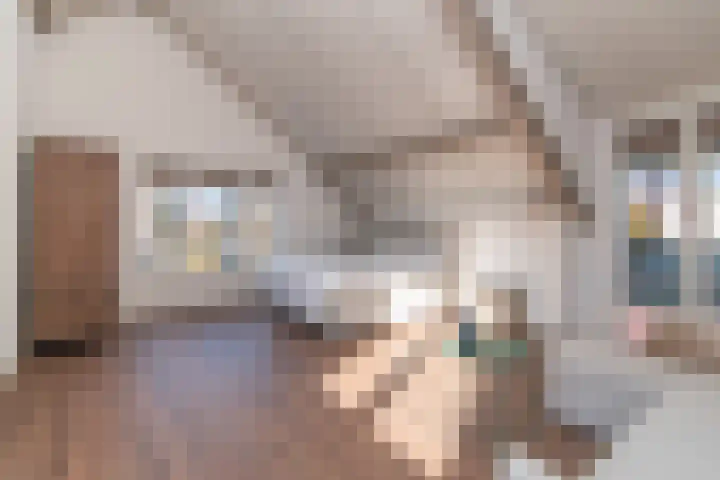 Zilverberkzoom 43 Zoetermeer thumbnail 20