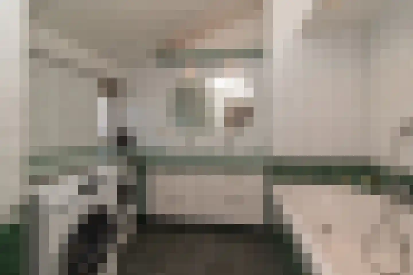 Zilverberkzoom 43 Zoetermeer thumbnail 22