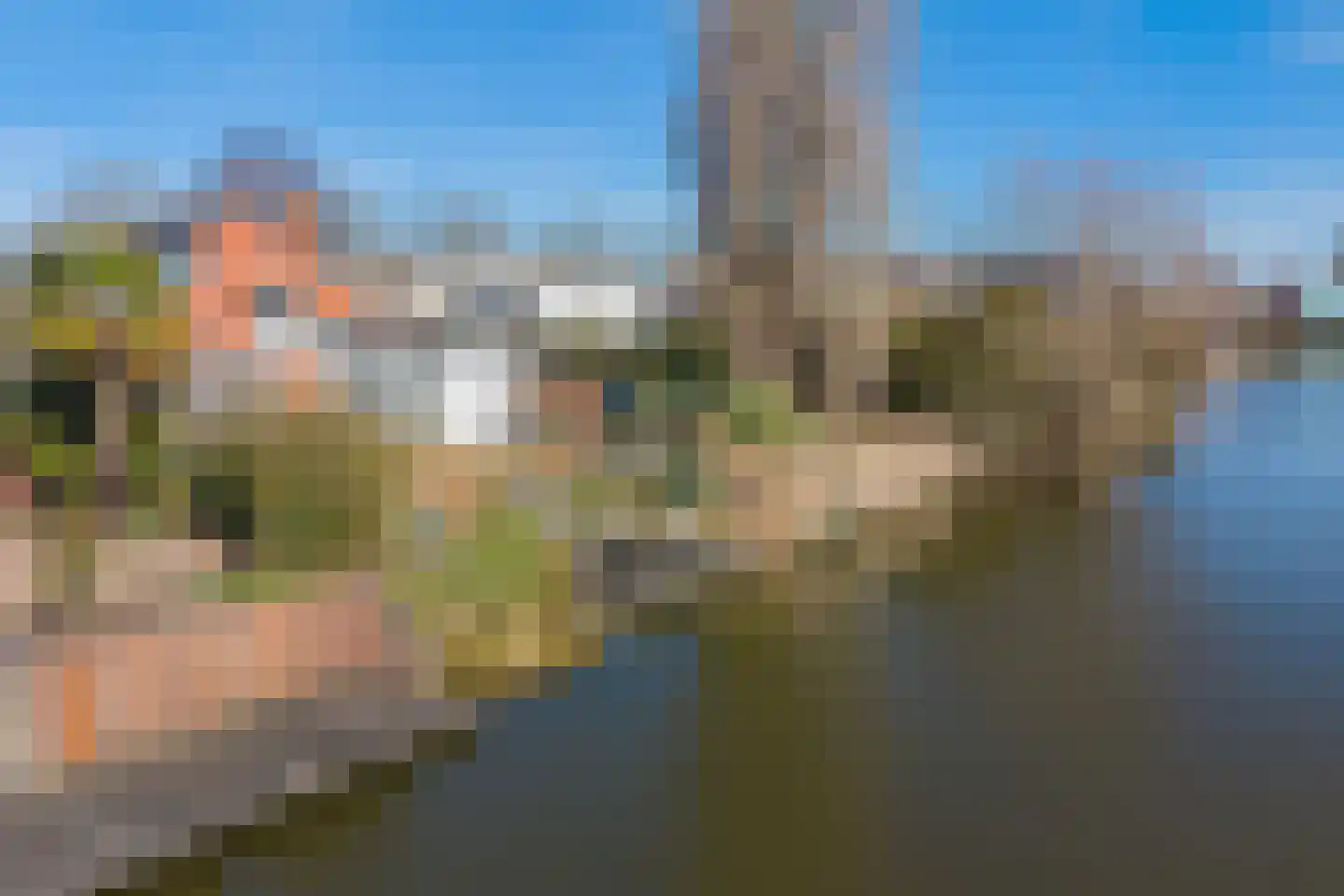 Zilverberkzoom 43 Zoetermeer thumbnail 40
