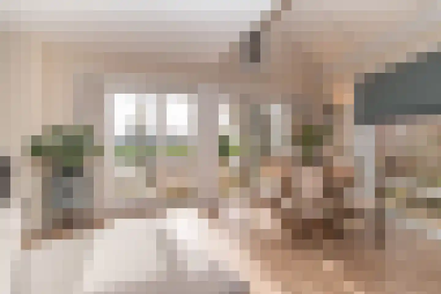 Zilverberkzoom 43 Zoetermeer thumbnail 7