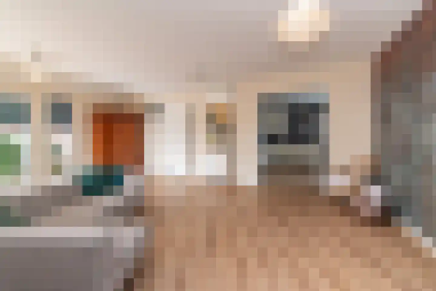 Zilverberkzoom 43 Zoetermeer thumbnail 8