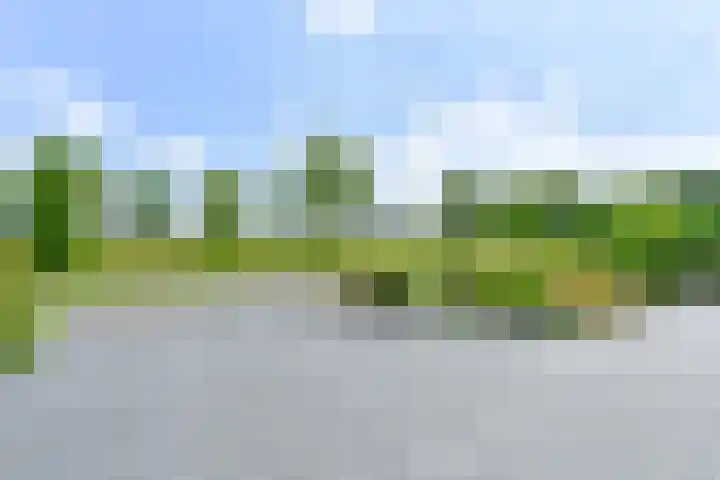 Zilverdenlaan 10 Exloo thumbnail 11
