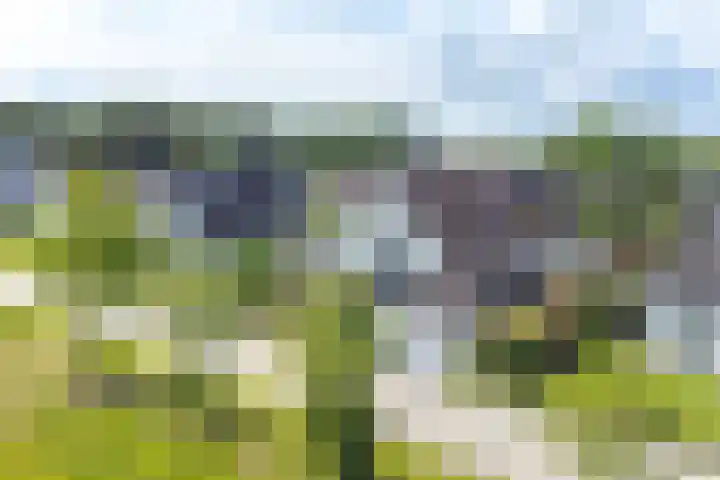 Zilverdenlaan 10 Exloo thumbnail 12