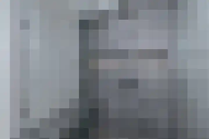 Zilverdenlaan 10 Exloo thumbnail 22
