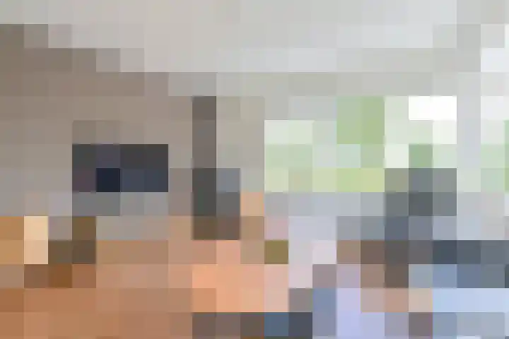 Zilverdenlaan 10 Exloo thumbnail 26