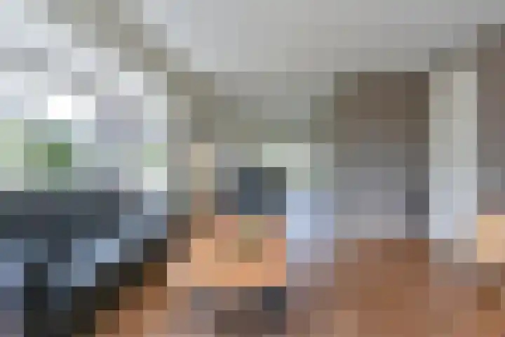 Zilverdenlaan 10 Exloo thumbnail 28