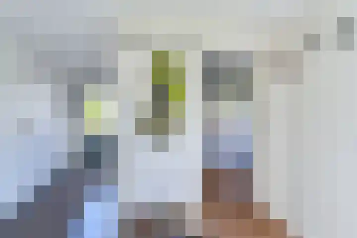 Zilverdenlaan 10 Exloo thumbnail 38