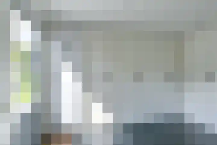 Zilverdenlaan 10 Exloo thumbnail 39