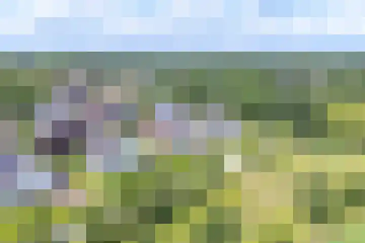 Zilverdenlaan 10 Exloo thumbnail 4