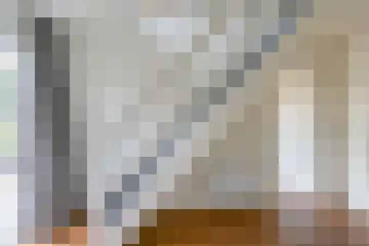 Zilverdenlaan 10 Exloo thumbnail 43